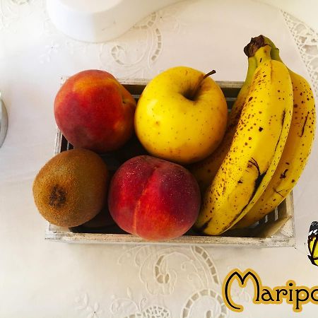 B&B Mariposa Sennori Bagian luar foto